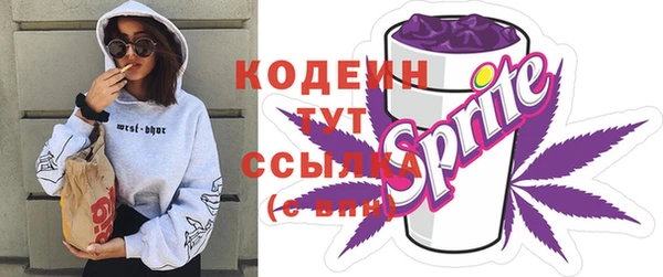МДПВ Верхний Тагил